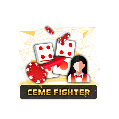 CEME FIGHTER